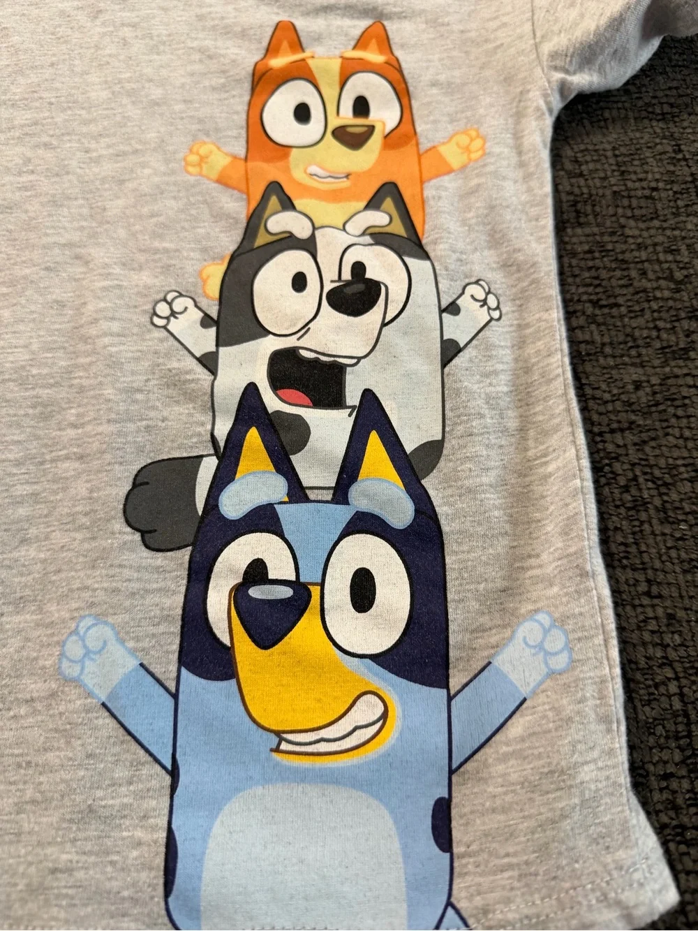 Bluey Stack Character Tee & Shorts Set - Grey & Light Blue
